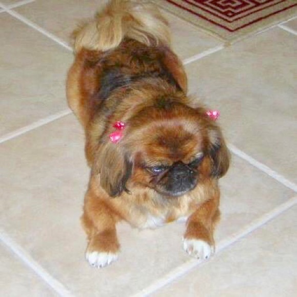 Meet your Posher, Marsha - Picture 1 of 1